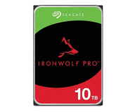 SEAGATE IronWolf Pro 10TB 3,5'' ST10000NT001 - 1079375 - zdjęcie 1